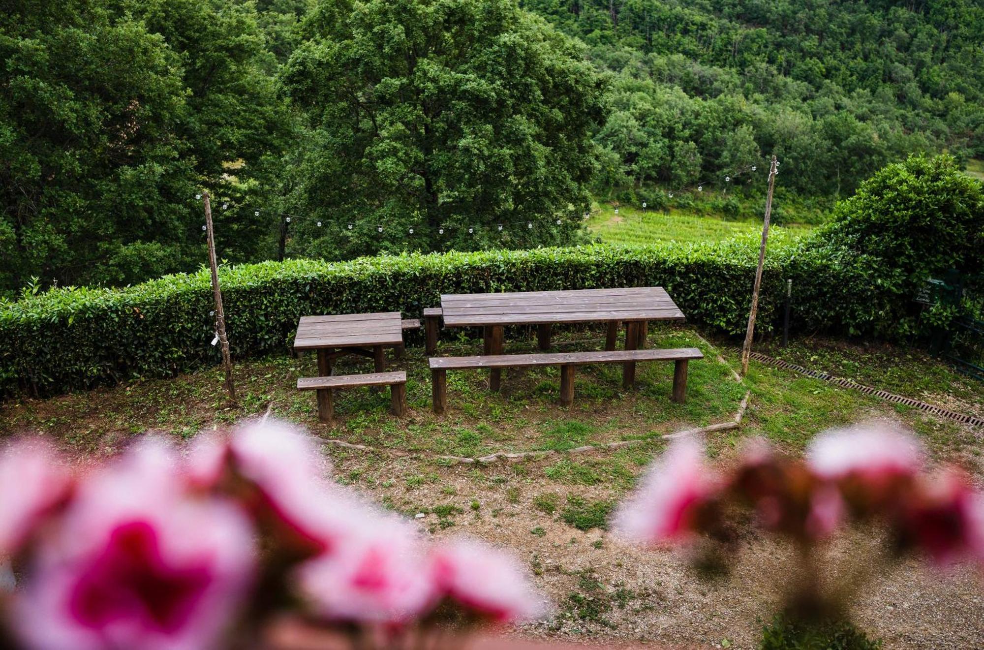 Rifugium Pensionat Greve in Chianti Eksteriør billede